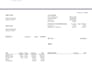 provide professional remote payroll processing and payslip service